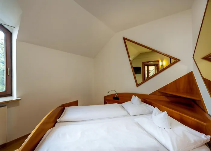 Hotel Steiner
