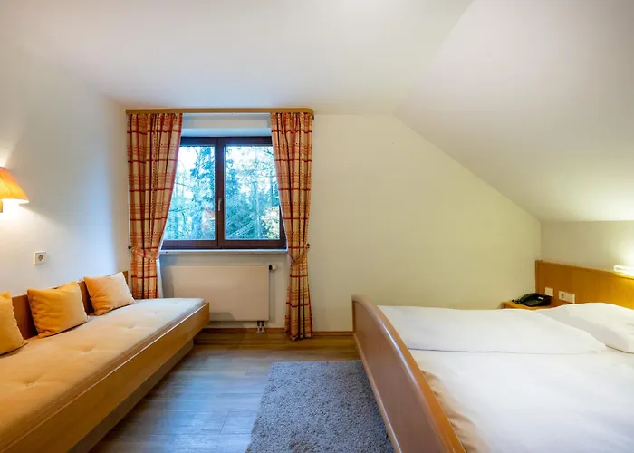 Steiner Hotel